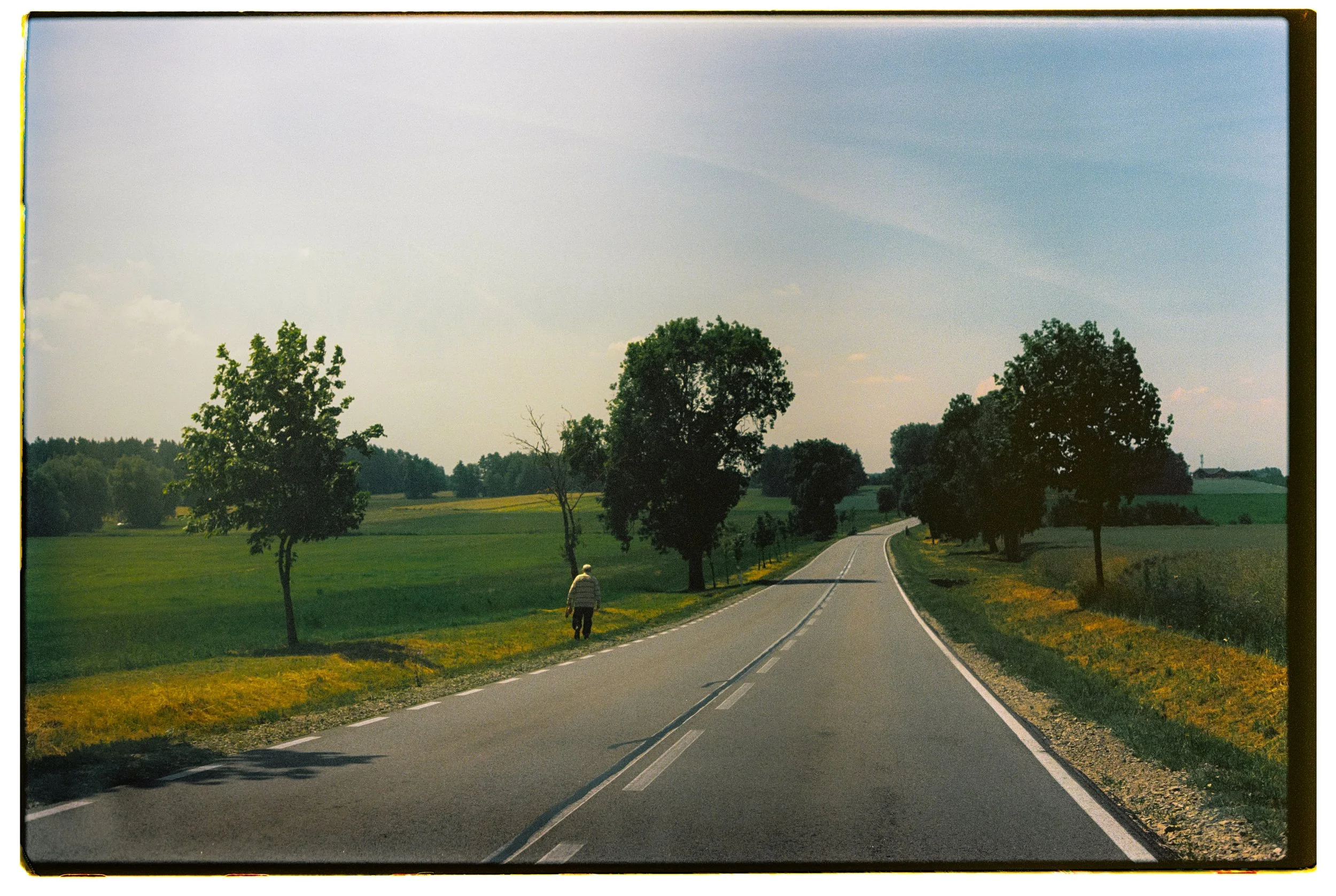 Camino rural con árboles a los lados y un campesino caminando, bajo un cielo despejado y soleado.