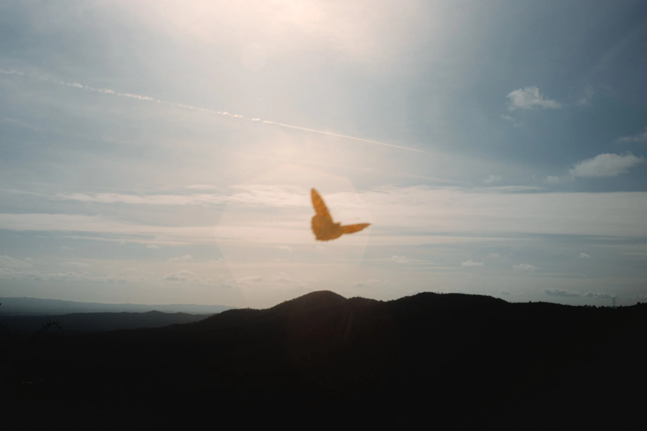 Mariposa naranja volando en el cielo con nubes y montañas en el fondo.