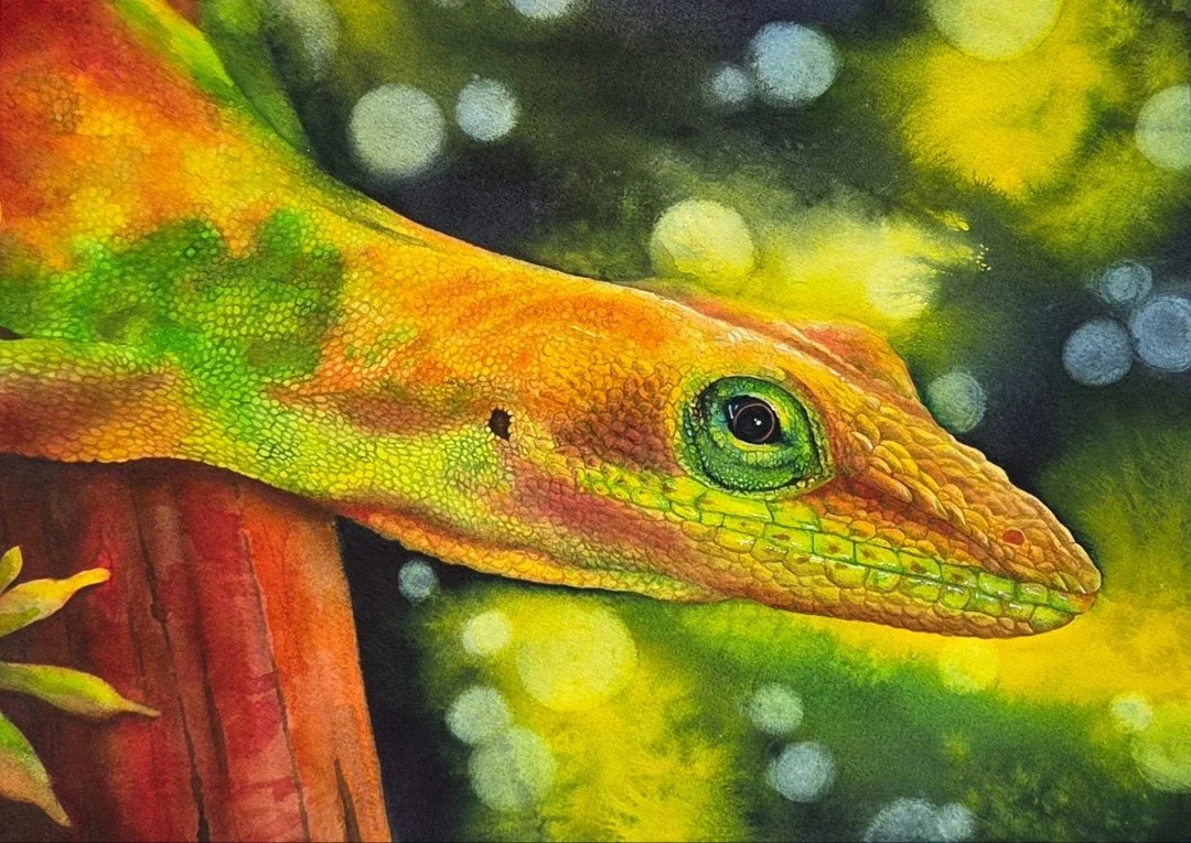 HONORABLE MENTION: "A Moment in the Sun" by: Rhonda Denton-Gallegos