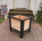 Cedar planter with black accent