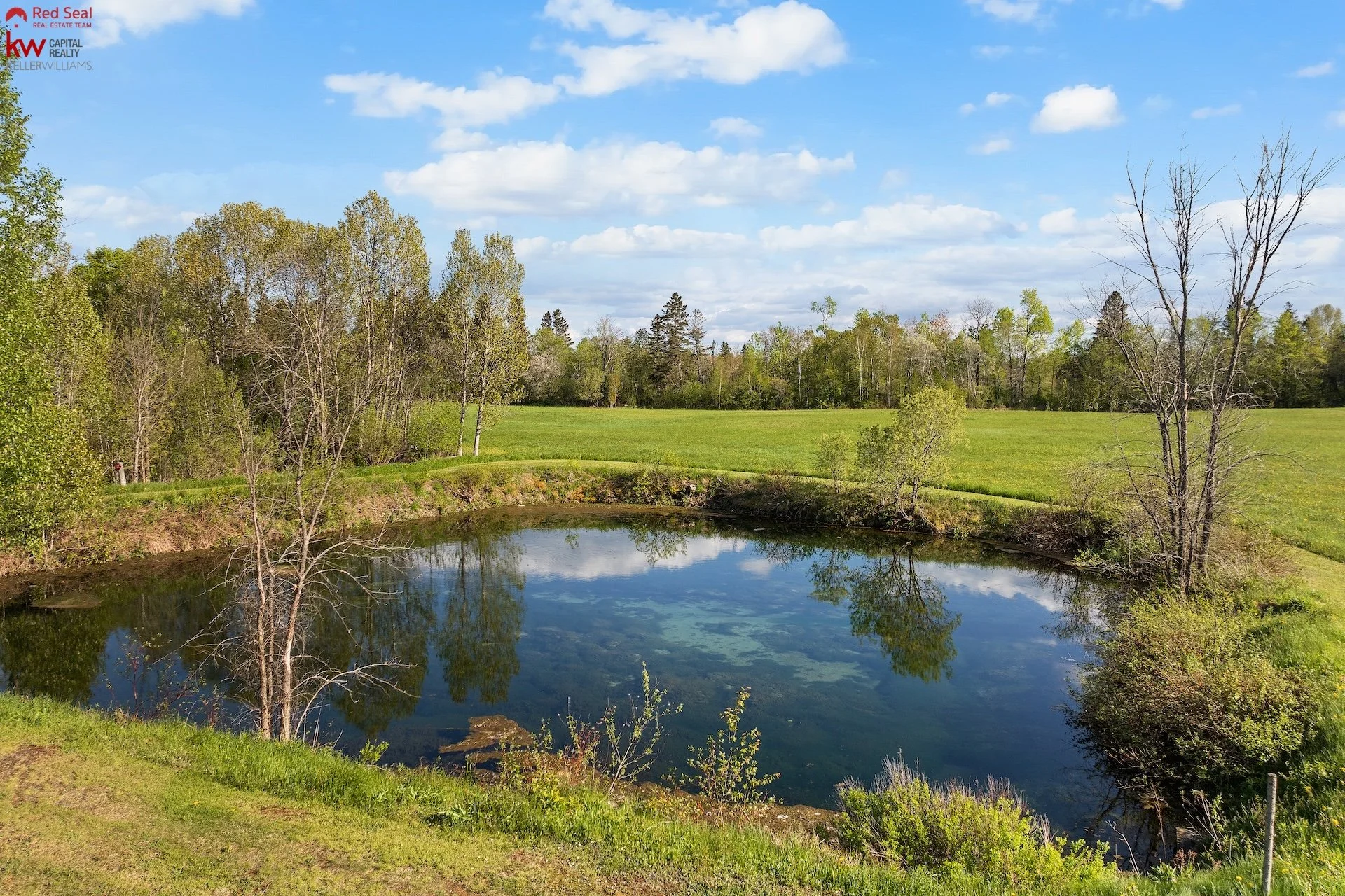 17 pond 1.jpg