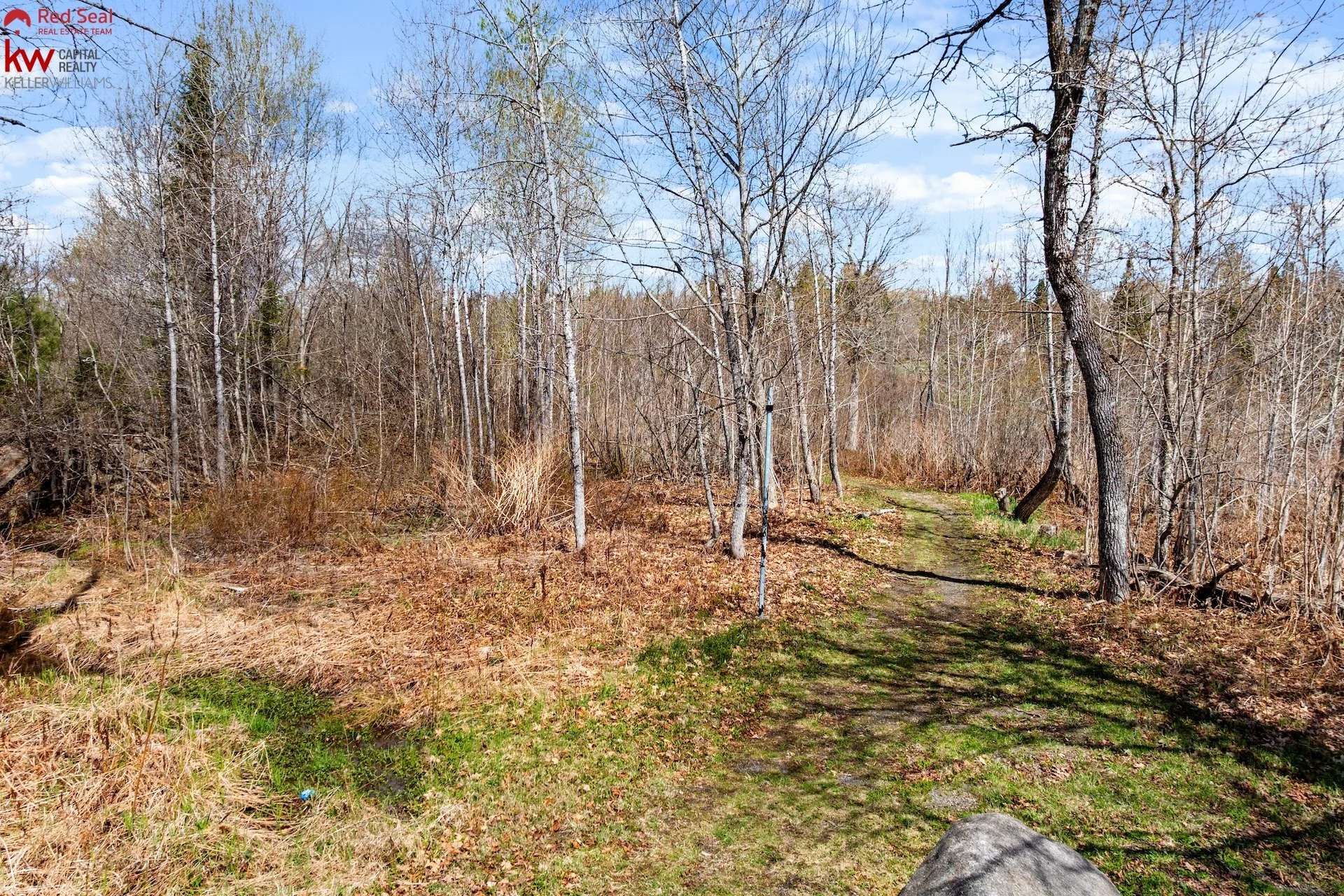 42 trail 1.jpg
