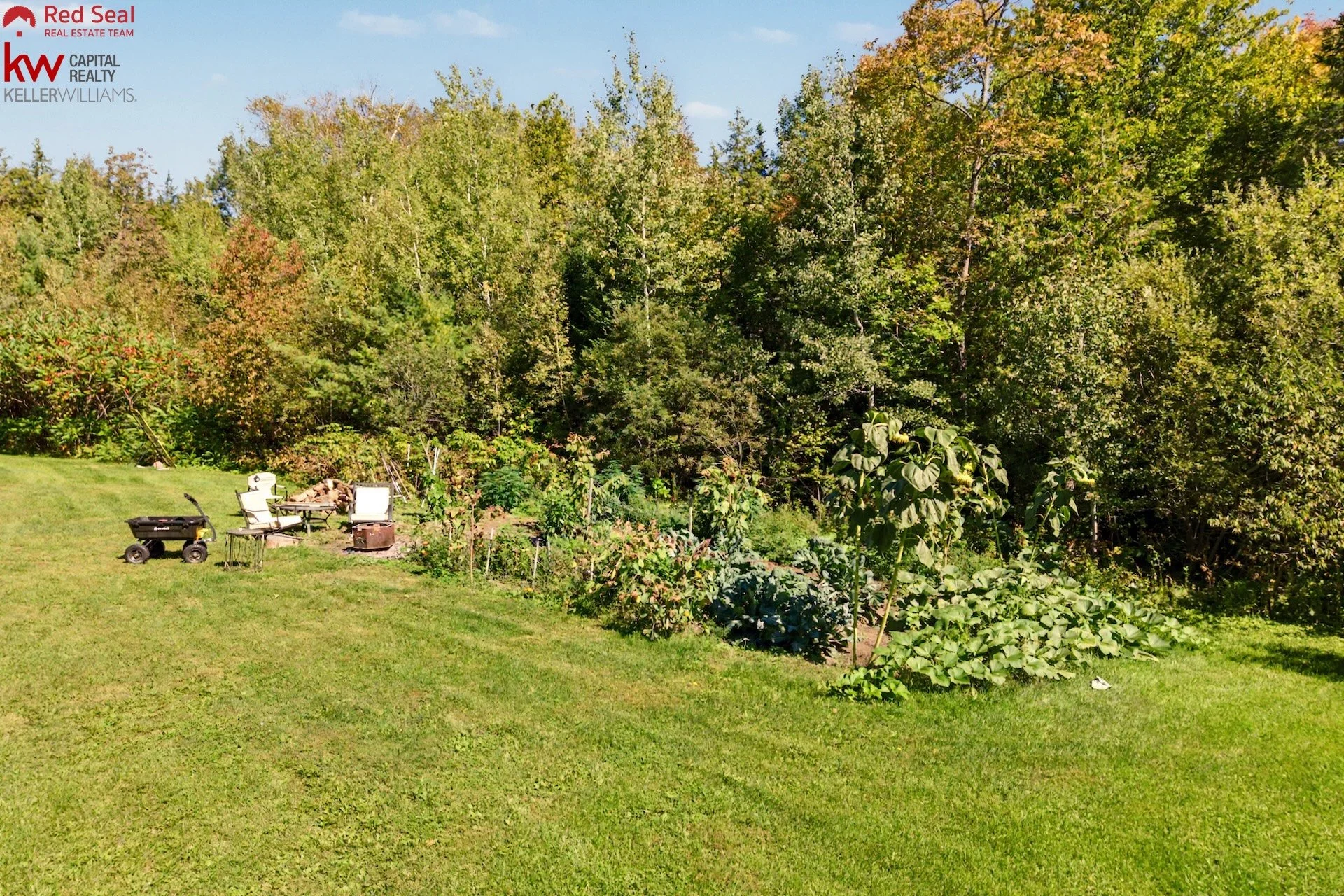 44 garden 1.jpeg