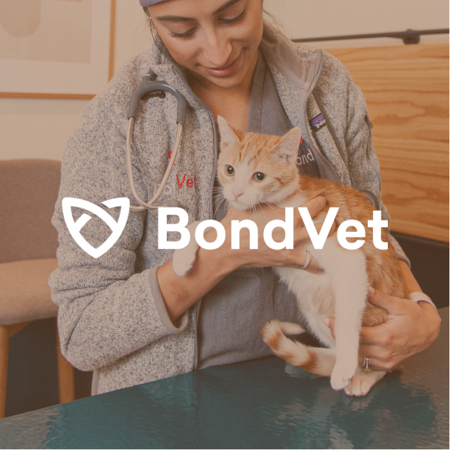 logo - bond.png