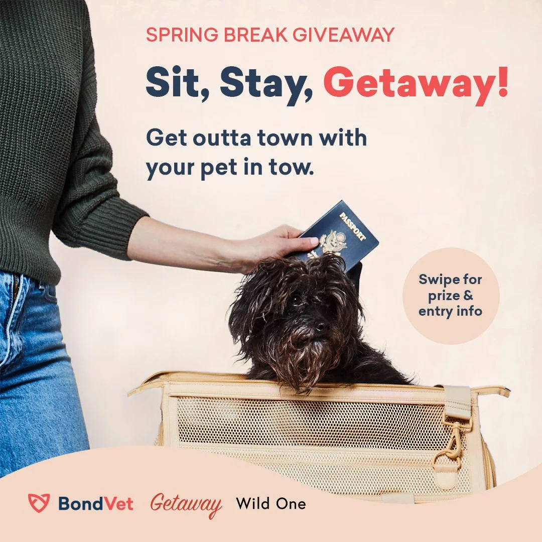 Bond-2023-Social-SpringgiveawayPost.jpg