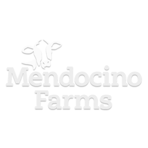logo - mendo.png