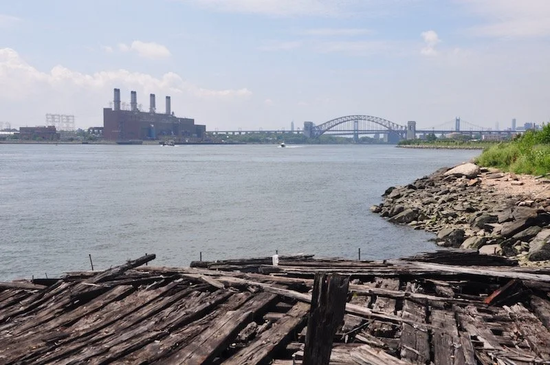 Bronx Activists Look at Community Land Trusts as a Way to Create More Greenspace