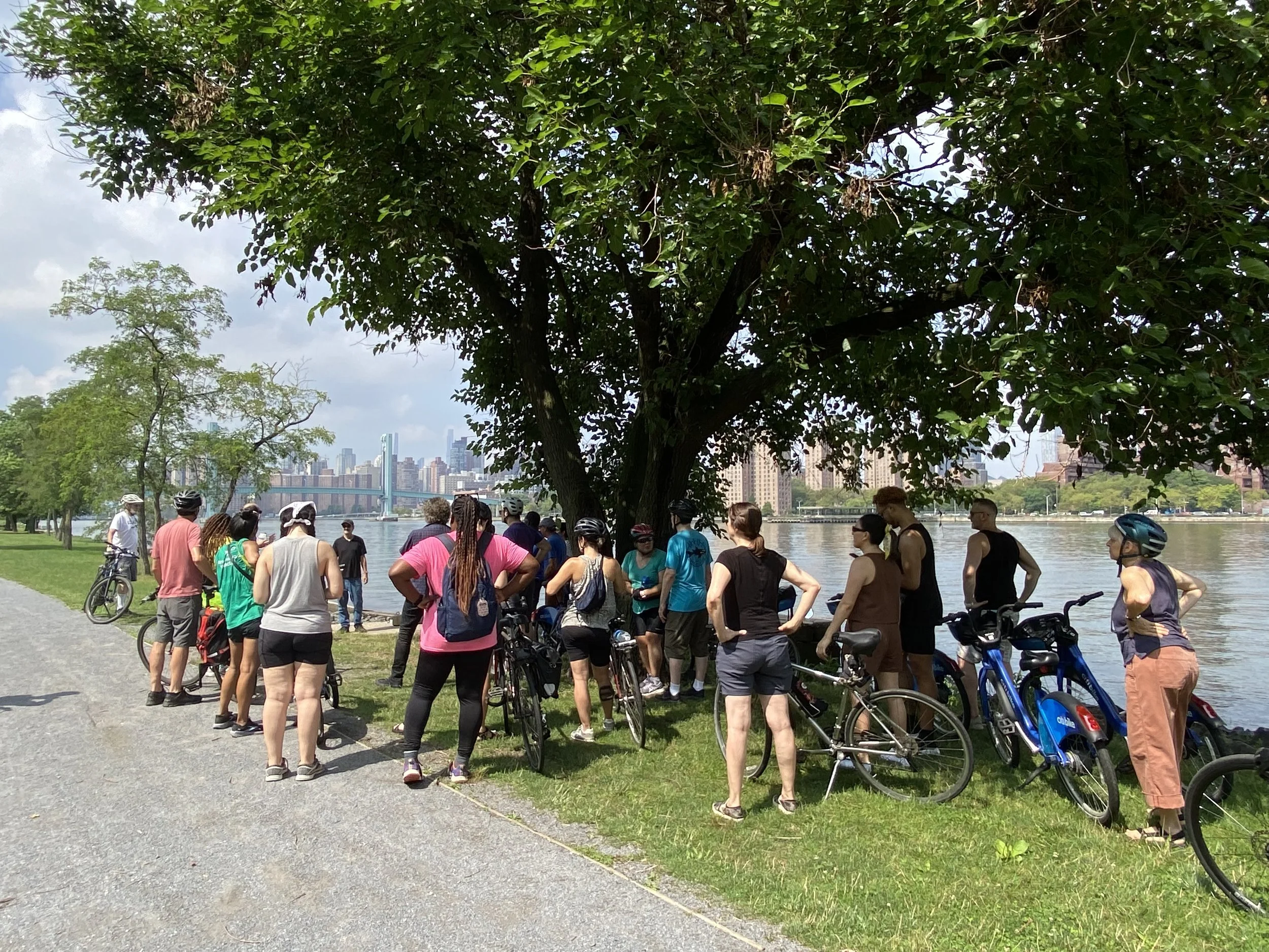 Budget Cuts to NYC Parks Would Disproportionately Affect Marginalized ...