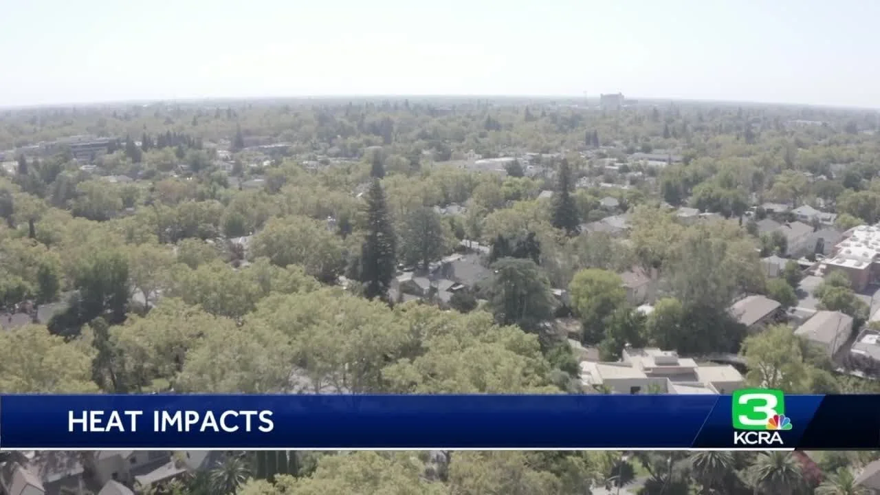 Climate Emergency Caused our Scorching Summer, but Inequality meant it hit Workers Hardest