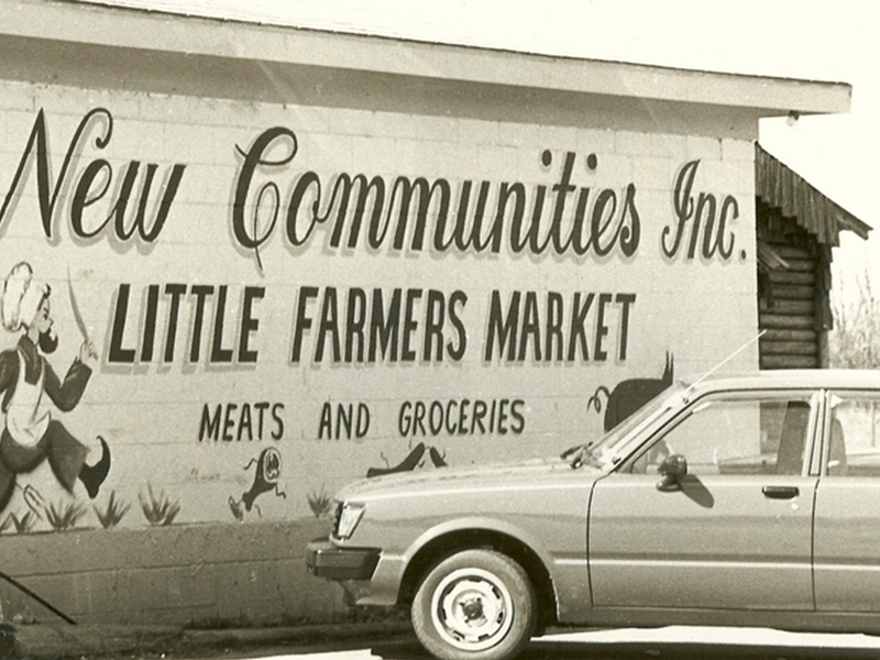 From Georgia to NYC: The Civil Rights Roots of Community Land Trusts