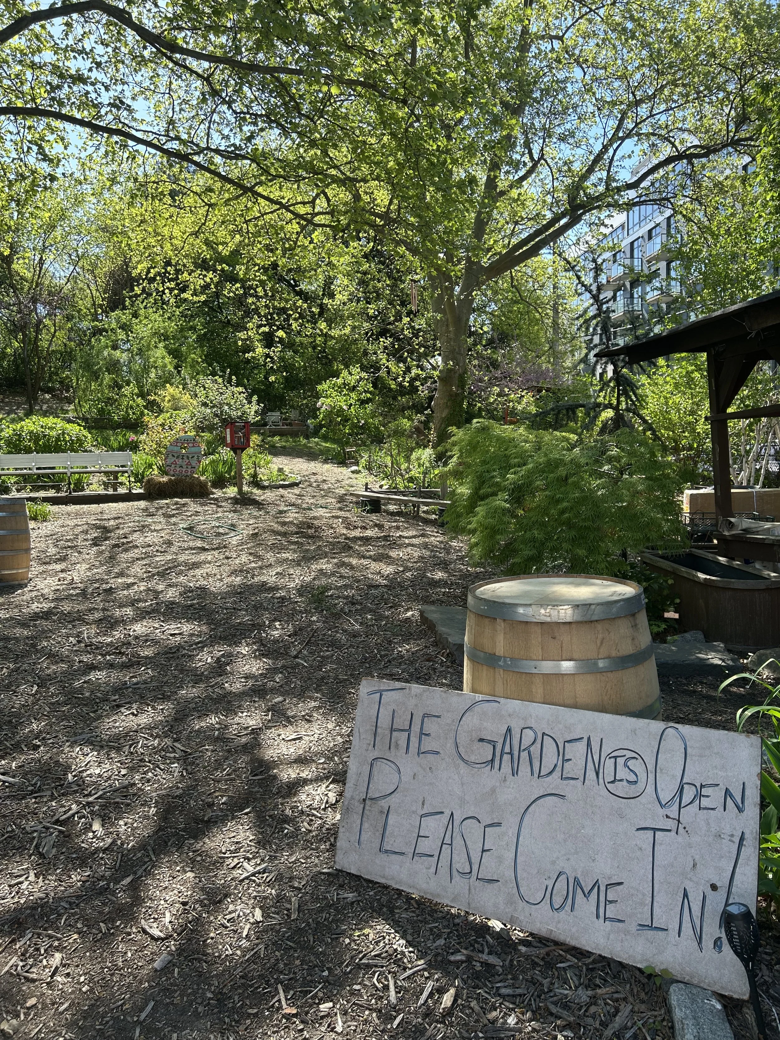 Earth Day 2026: Air Purifier Giveaway + Celebration