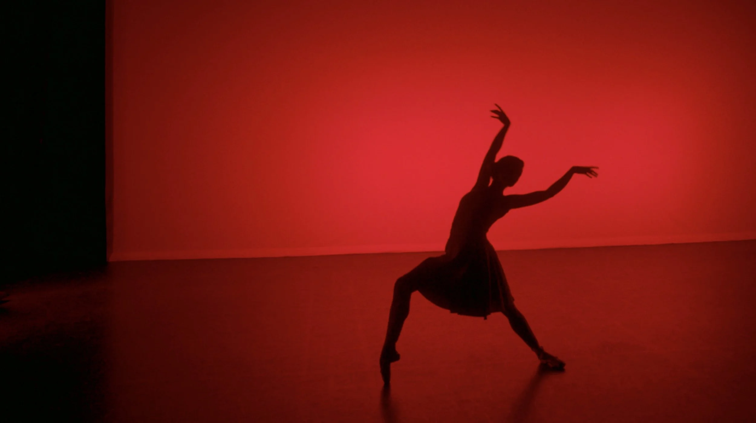 Screenshot 2024-10-11 at 16.21.07.jpg