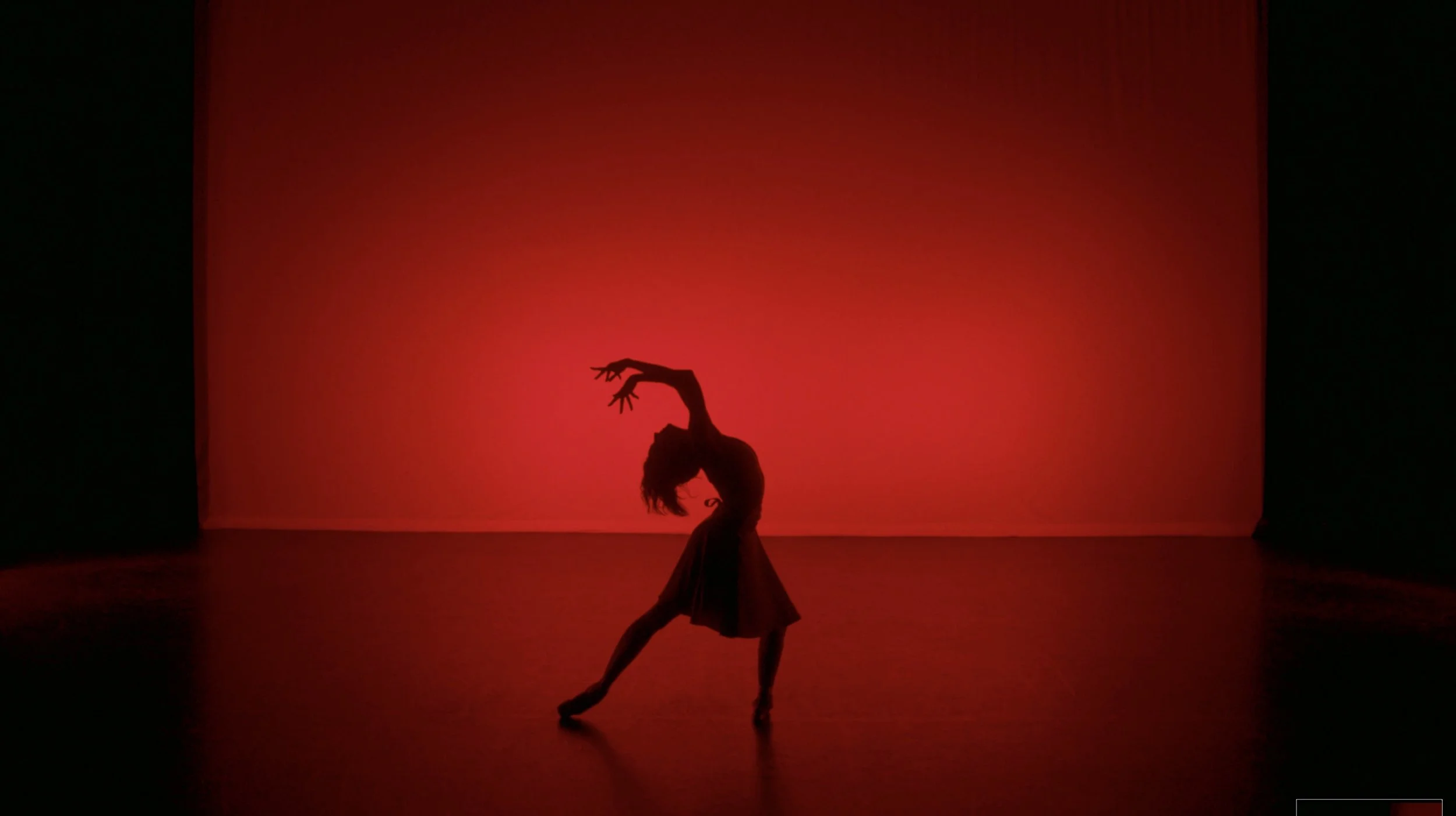 Screenshot 2024-10-11 at 16.25.45.jpg