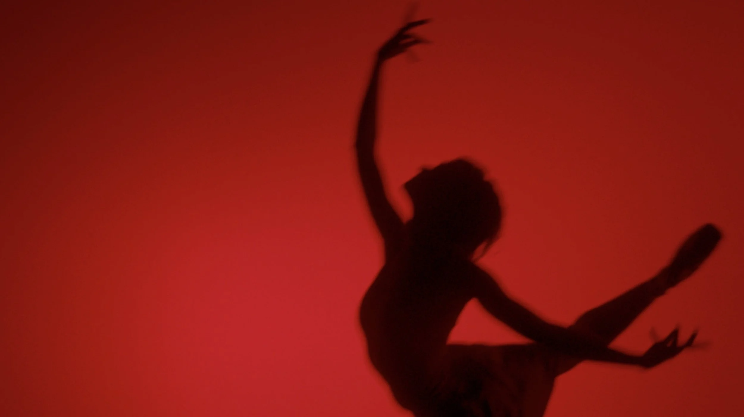 Screenshot 2024-10-11 at 16.24.30.jpg