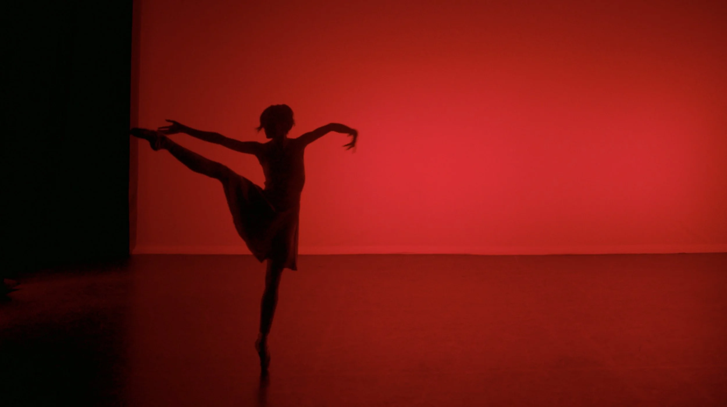 Screenshot 2024-10-11 at 16.20.50.jpg