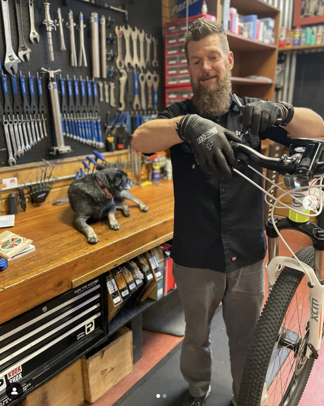 Man and dog repairing bike in local shop.