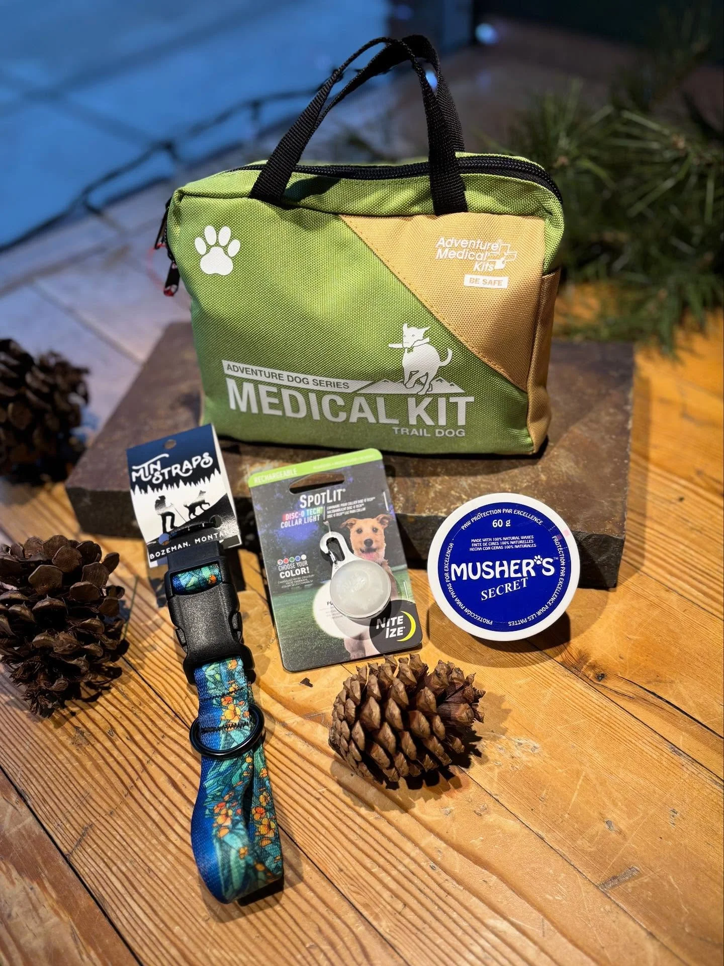 Gifts for the dog-lover on your list 🐾