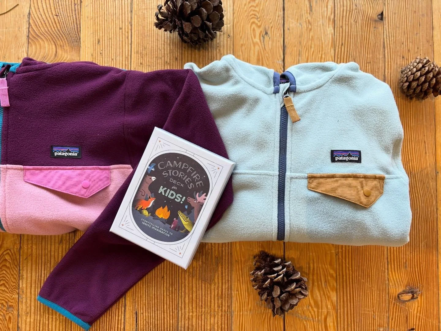 Gift ideas for the kiddos! @Patagonia Micro D Snap T Jacket and campfire stories.