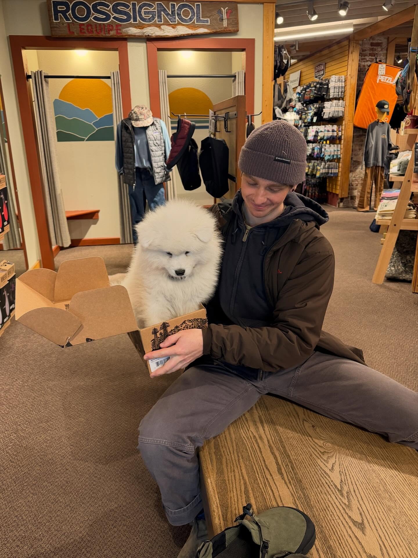 Each pair of @bedrocksandals now comes with a free puppy. Limited time offer.