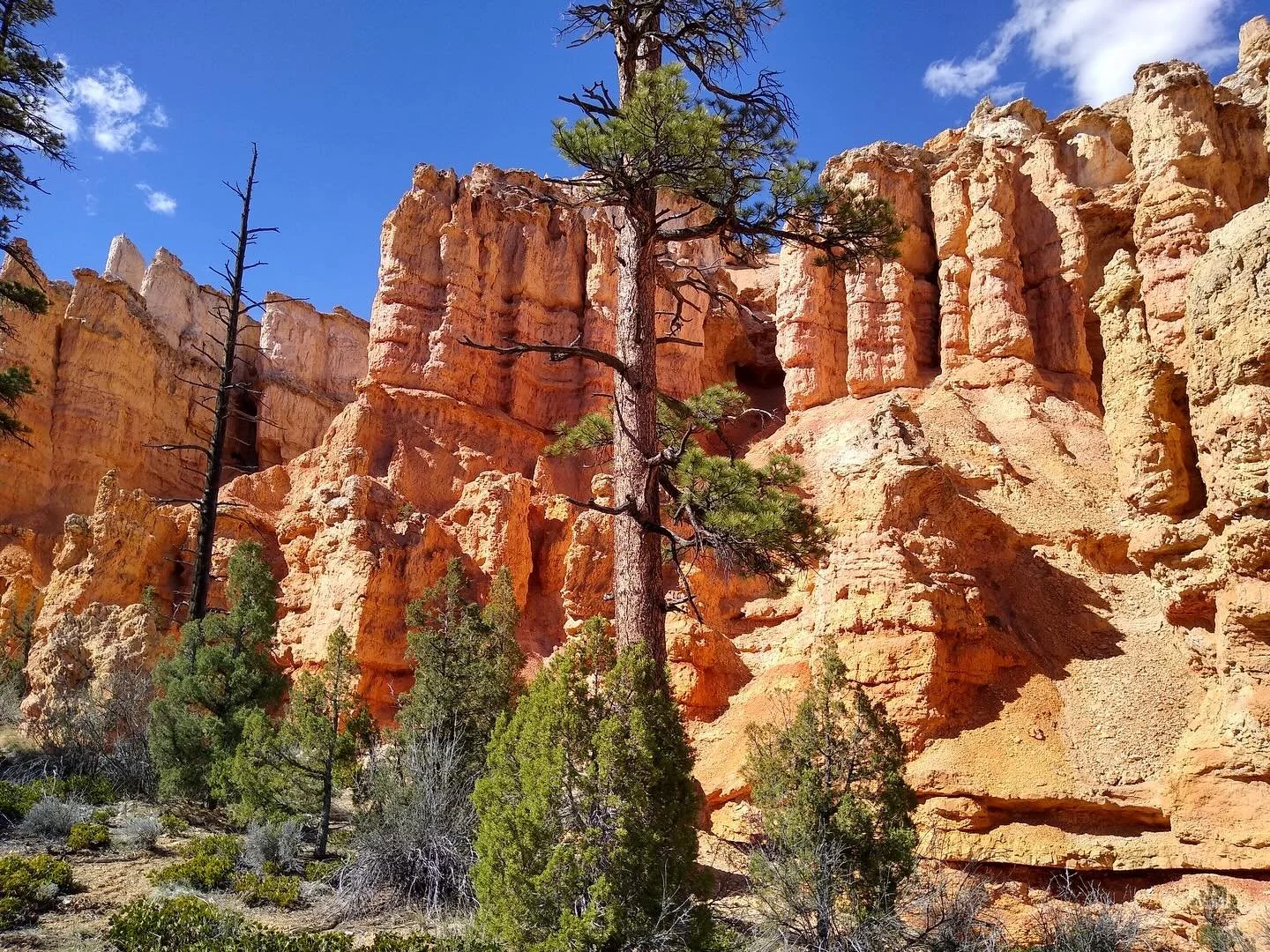 Jonathan recently spent a couple of weeks exploring the canyons of Utah. Stop in the shop to ask him about his adventure.