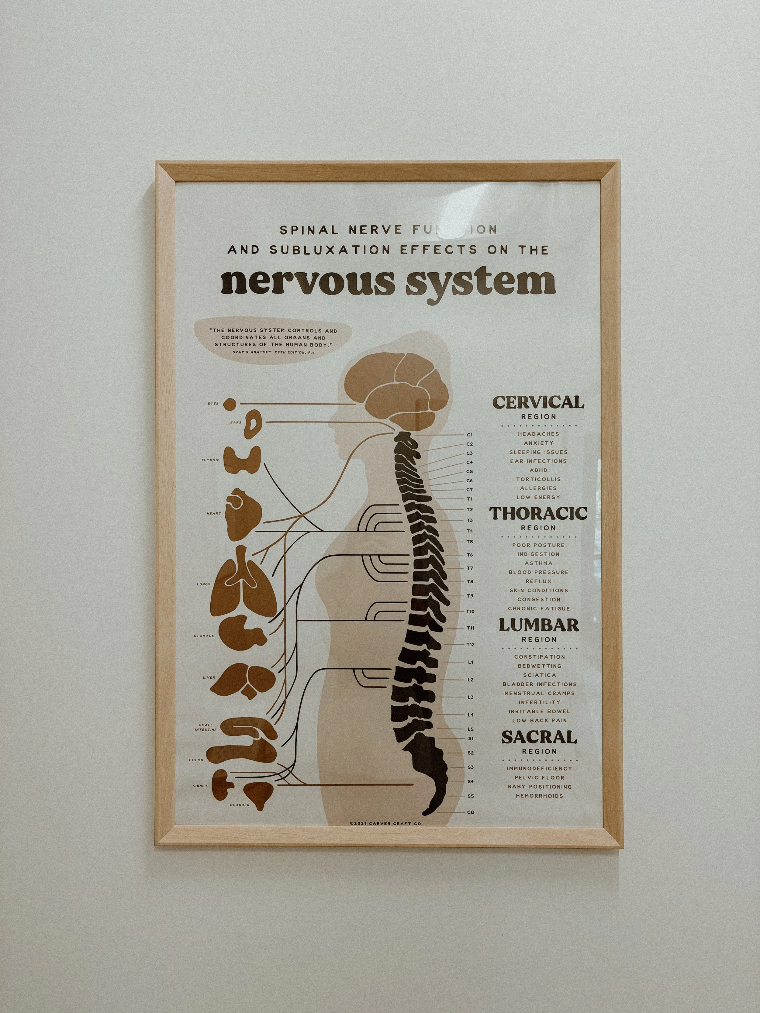 Your Body Was Designed To Heal