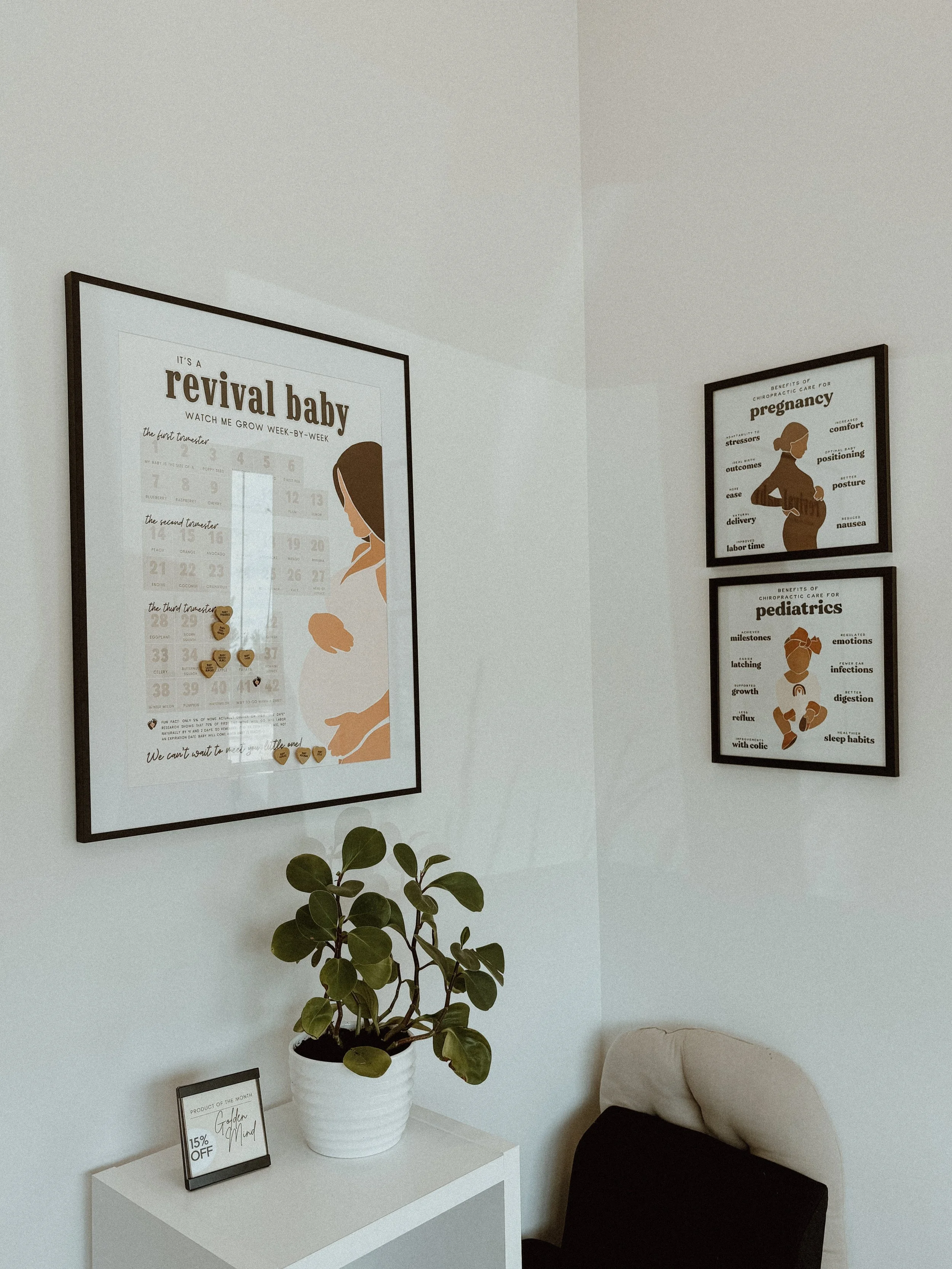 Decorative corner with framed health and pregnancy charts, a potted plant, a small sale sign, and part of a black and beige chair against light-colored walls.