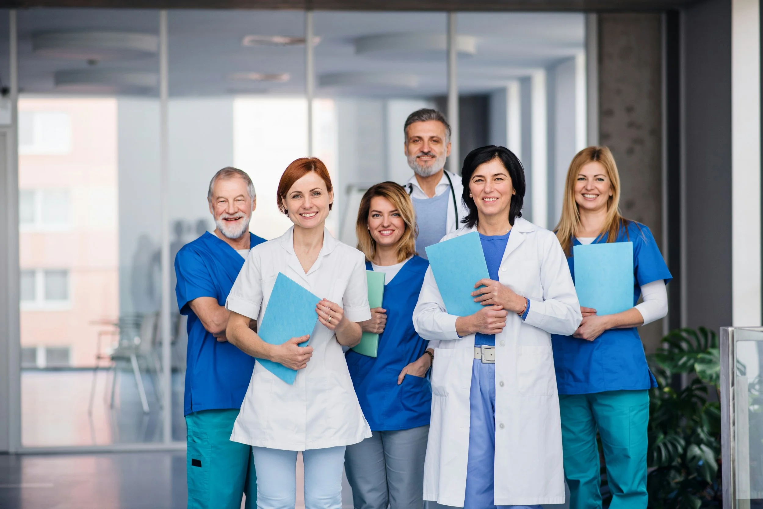 A group of professional health care providers