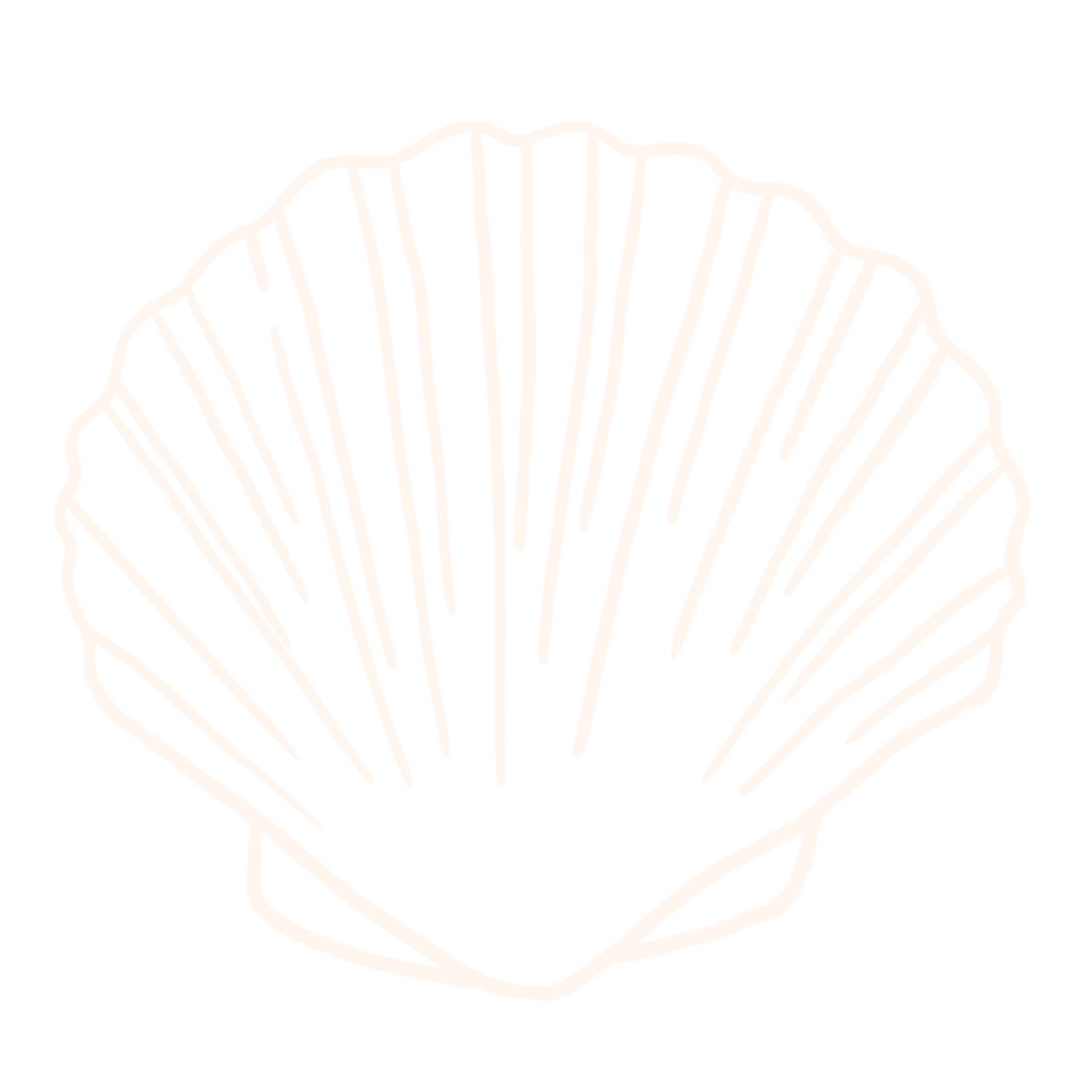 Shell icon