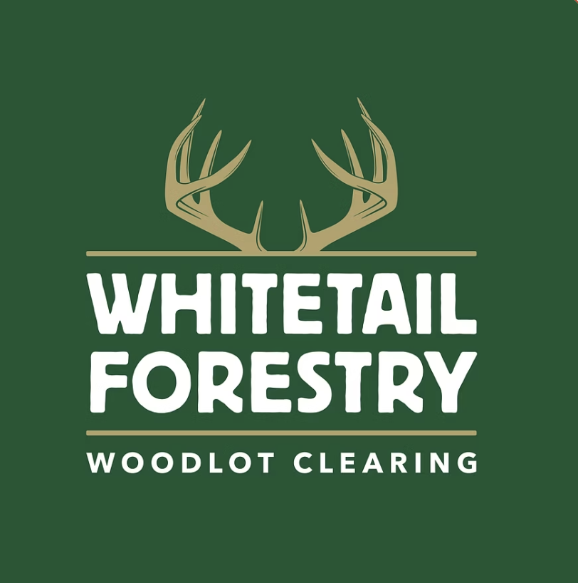 CASE STUDY: A Full Year of Forestry Mulching Ads