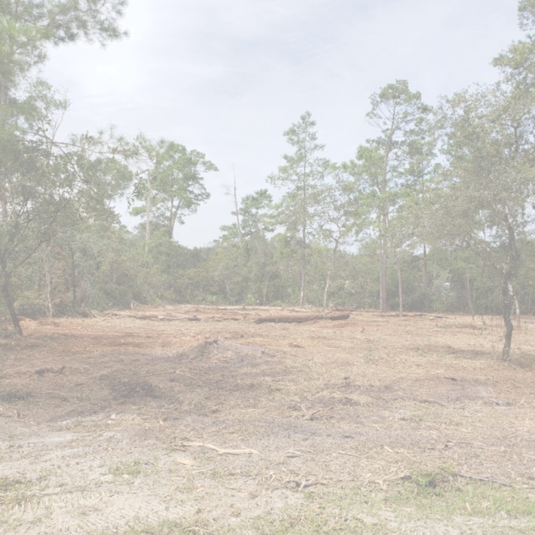 Why Naming the Invasive Plant in Your Facebook Ads Gets You More Land Clearing Jobs