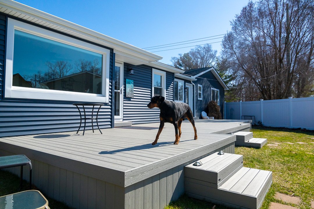 Backyard deck with a black and brown dog standing on it, a small table, and a backyard with trees and a white fence.