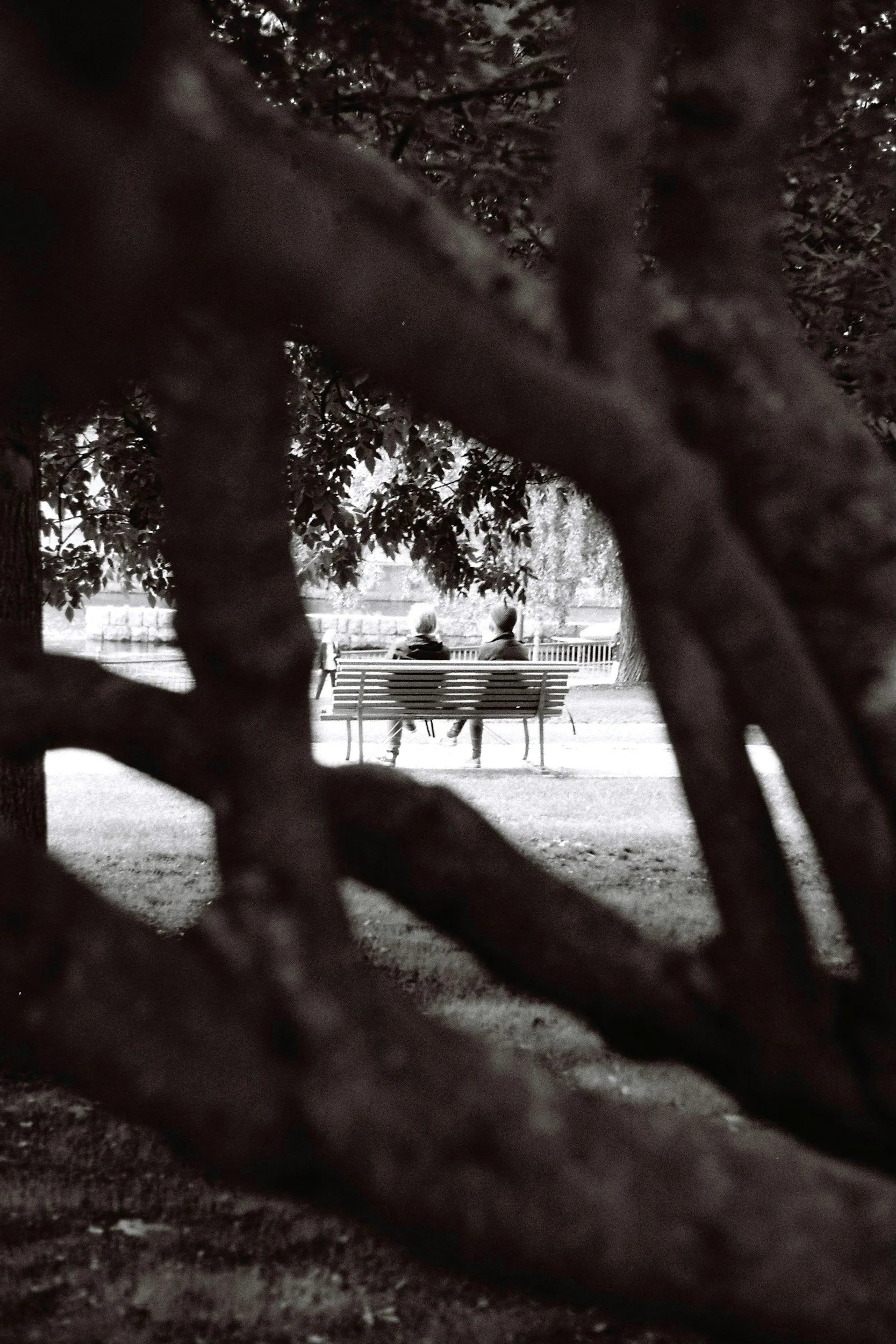 Two people sitting on a park bench under a tree, viewed through tree branches. Black and white photo.