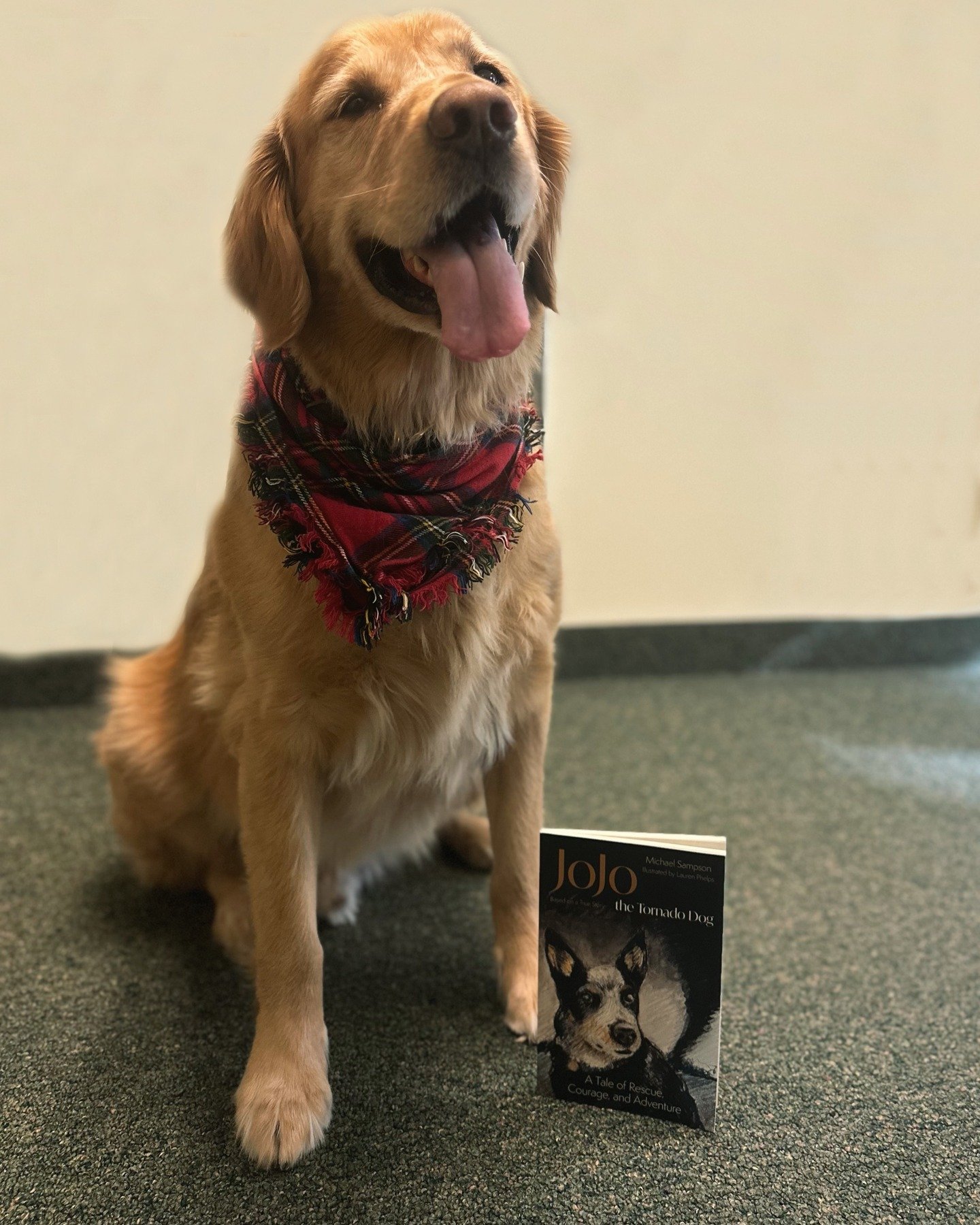 Today's highlight in our BBPG Office Pets series is none other Shadow! Stopping by to say hello and spread some holiday cheer, Shadow is also here to pick up his very own copy of @radospress upcoming release.

An inspirational story that captures the
