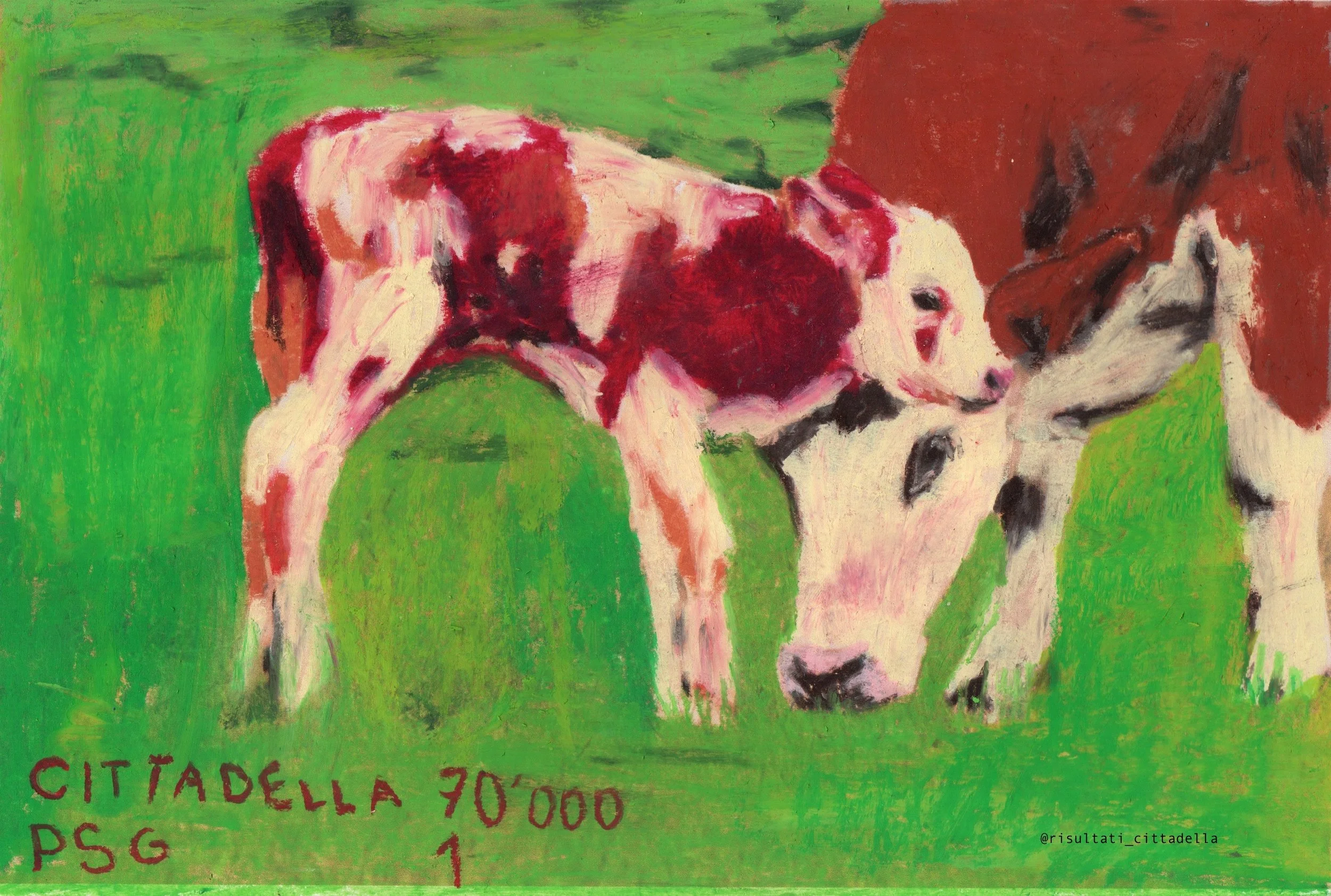 25_Cittadella_PSG_70000_1_scan_gabriedizionespeciale24 2.jpeg