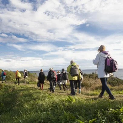 The Benefits of Walking: Simple Steps Towards Better Health