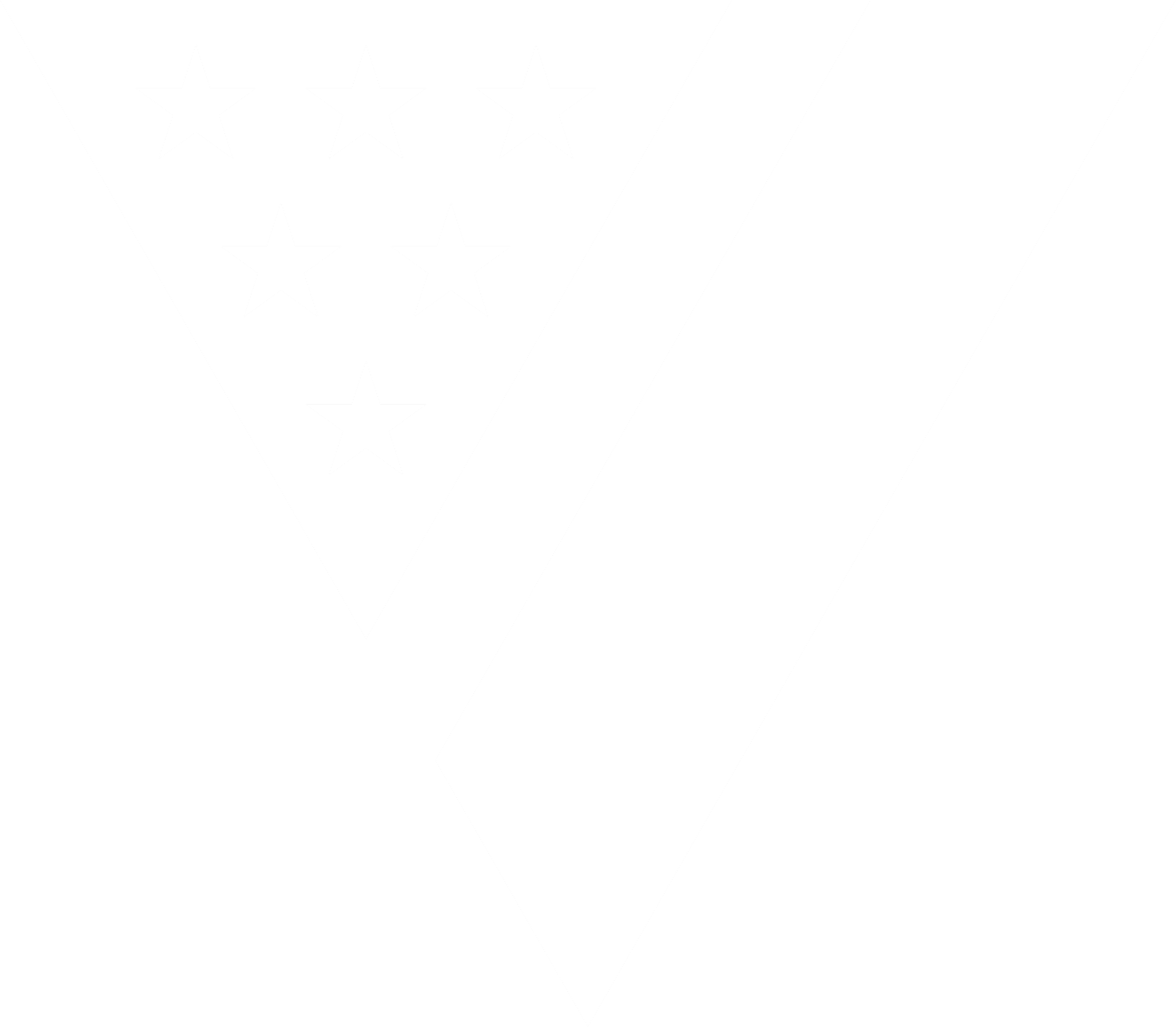 VAS Logo Icon