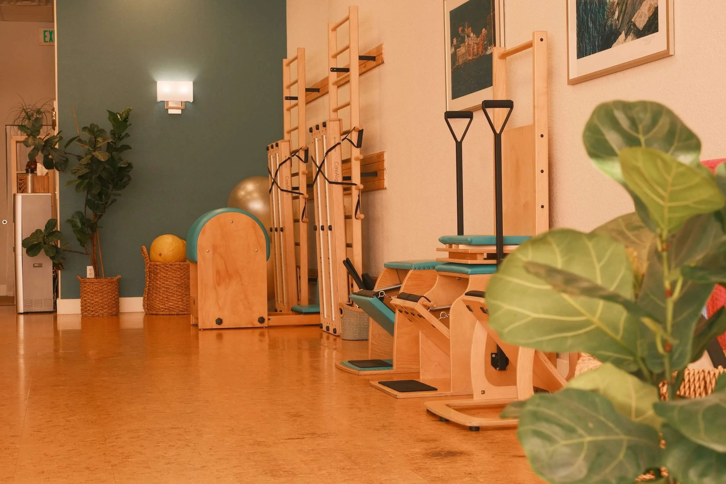 Interior view of a fitness or physiotherapy studio with wooden exercise equipment, exercise balls, potted plants, framed artwork, and a wooden floor.