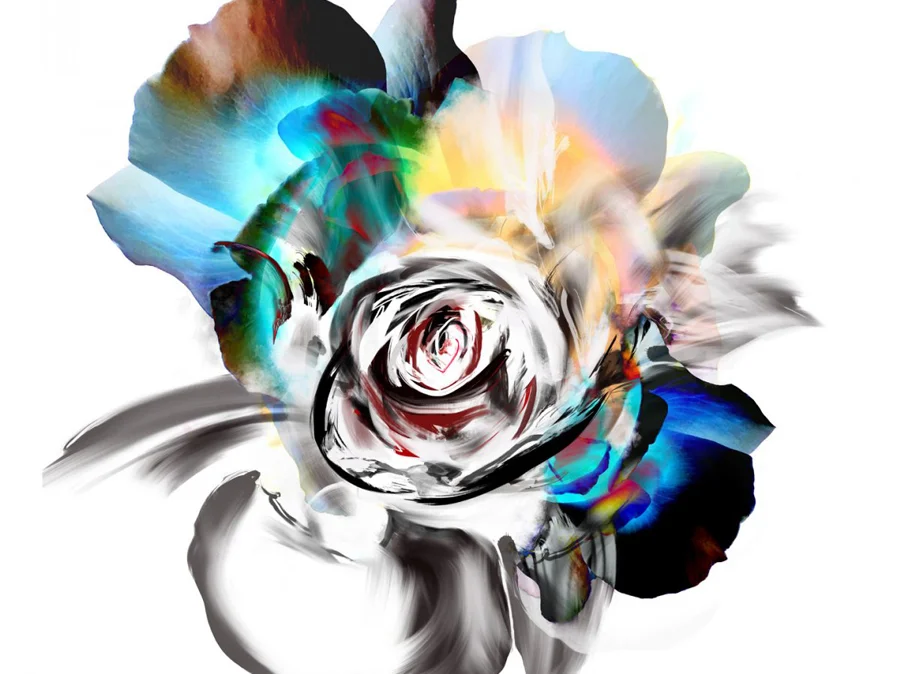 "Cultivating a different kind of rose"