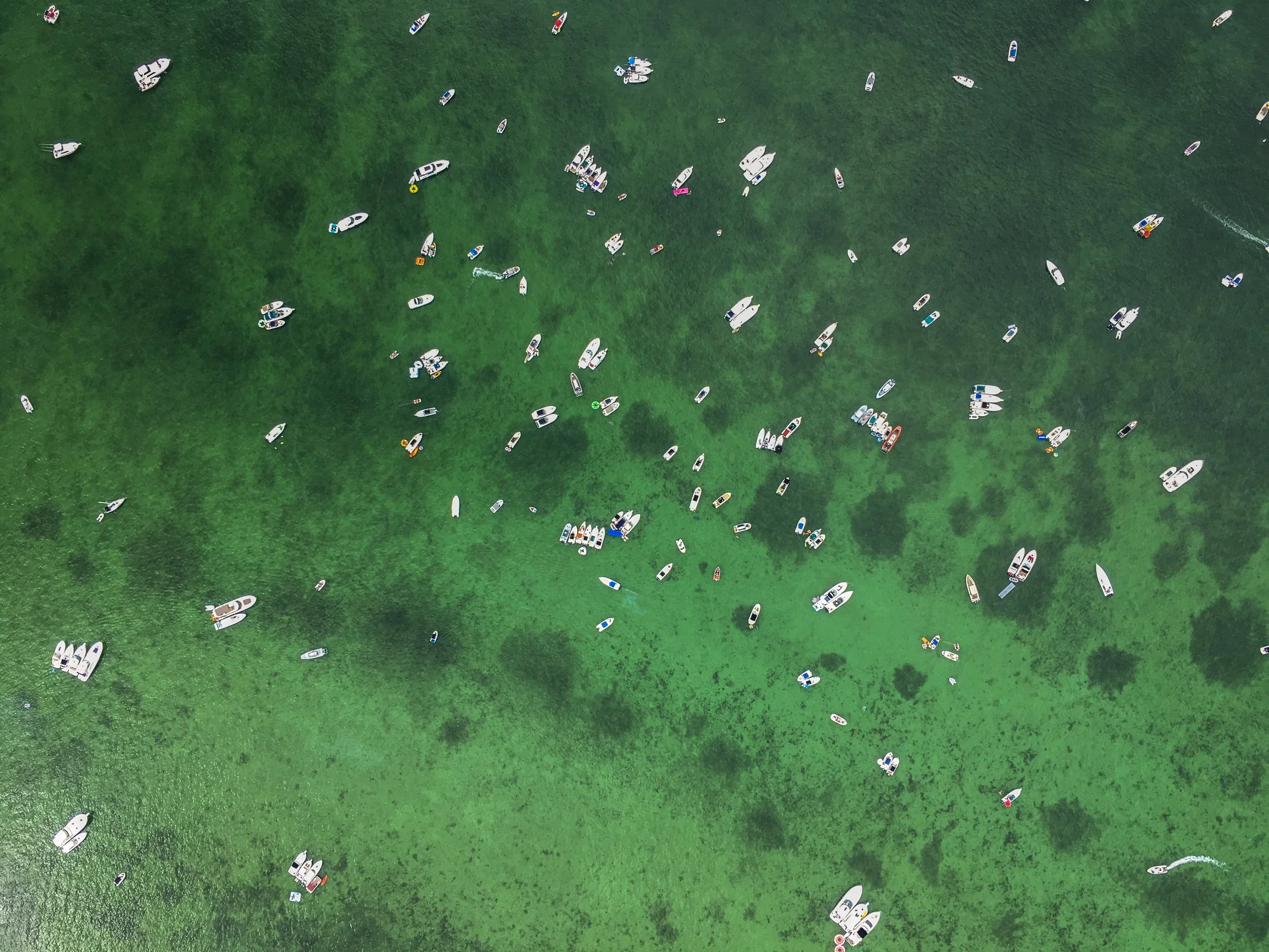 Apple: Start Something New 2016