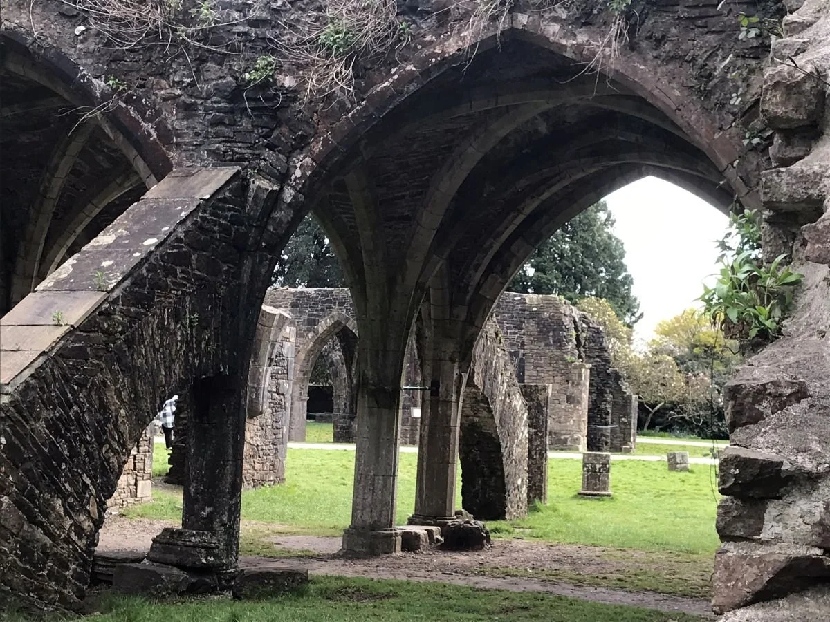 Ruins of an old stone structure with arched ceilings and columns, situated in a grassy area with trees in the background.
