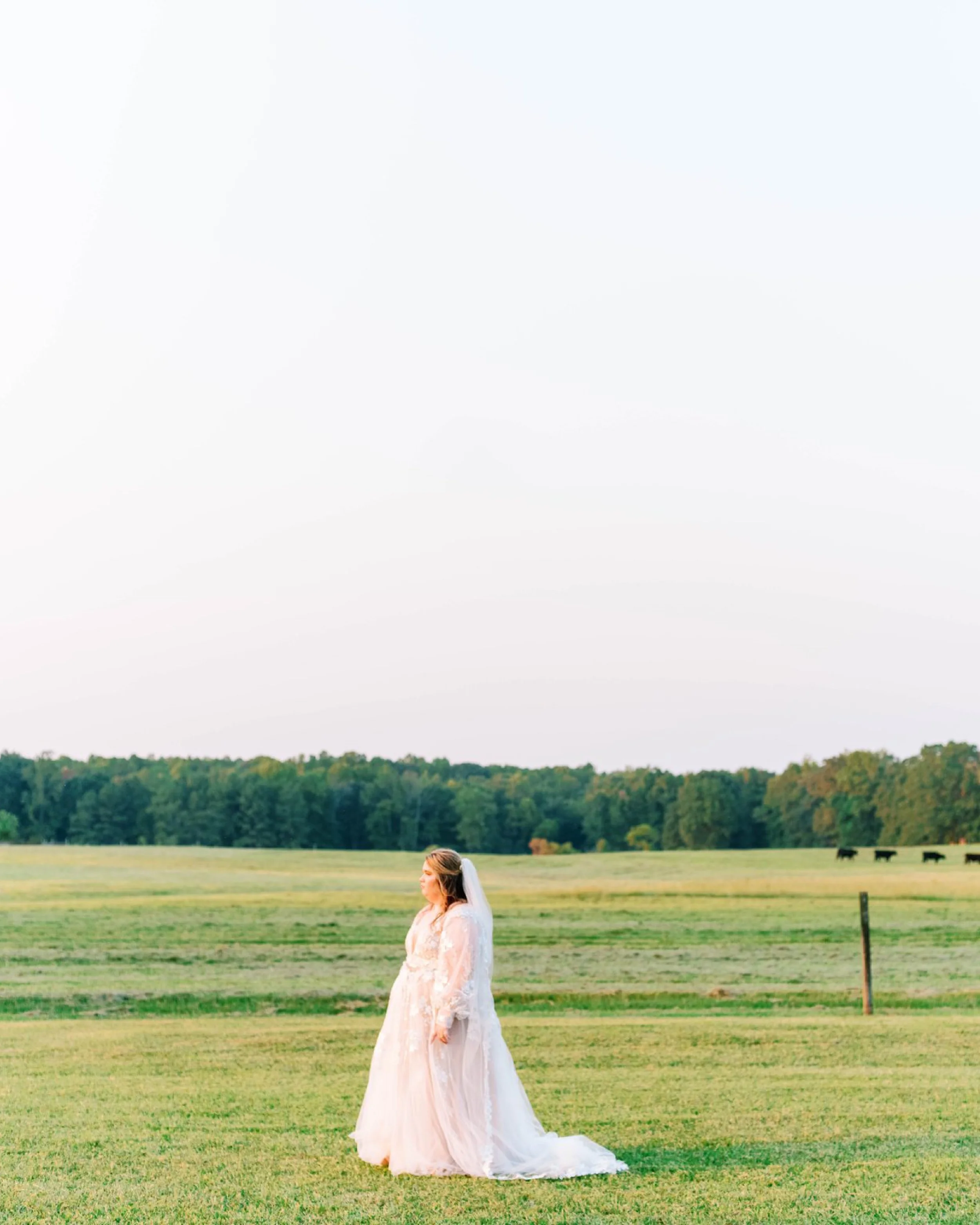 LaurenEverettWedding.jpg