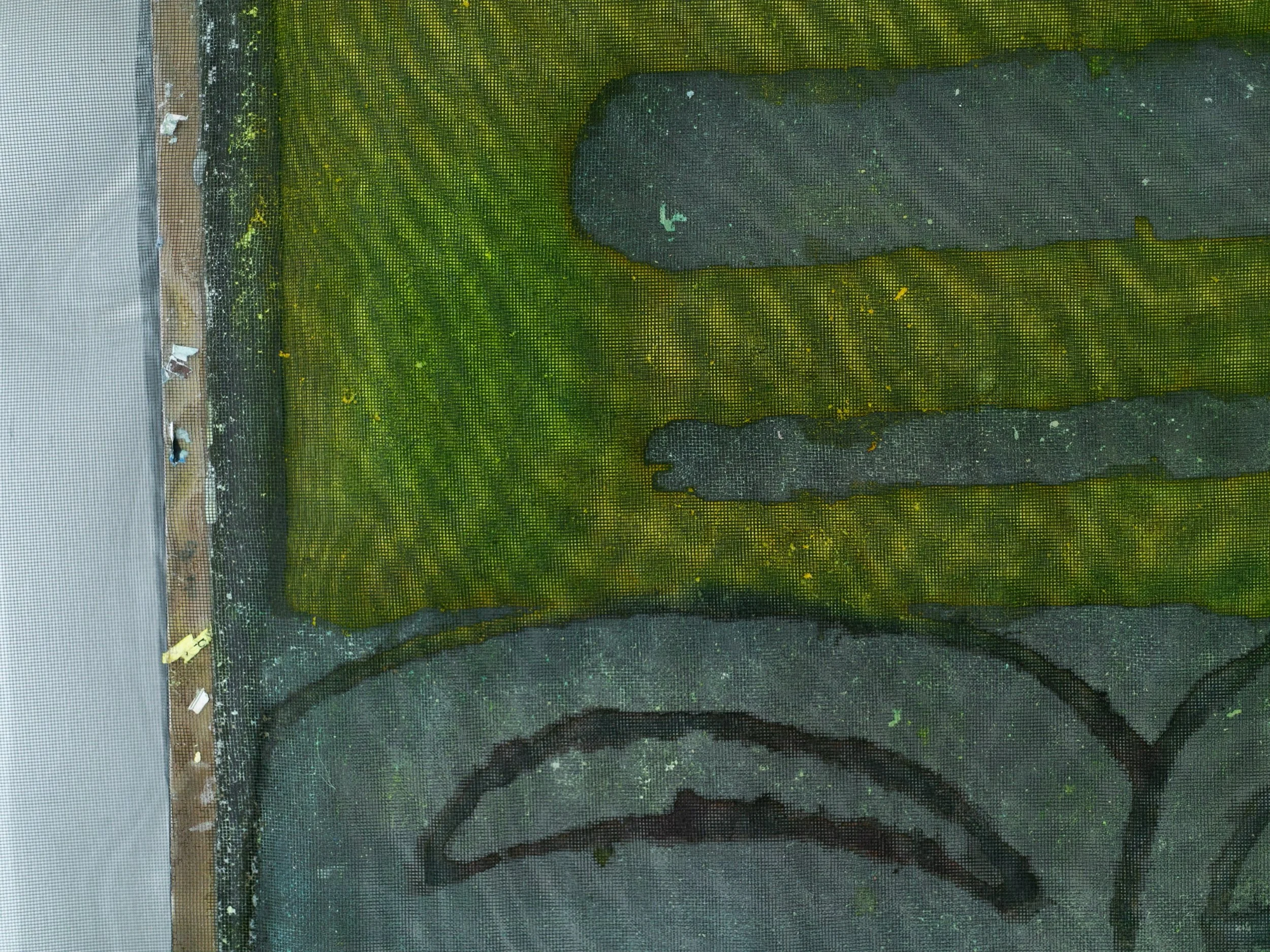 Detail view orf Bad Apple 