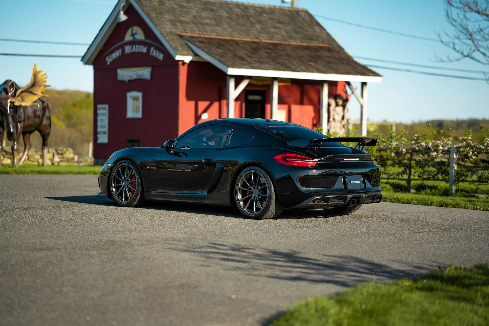 ds_gt4981-14 copy.jpg