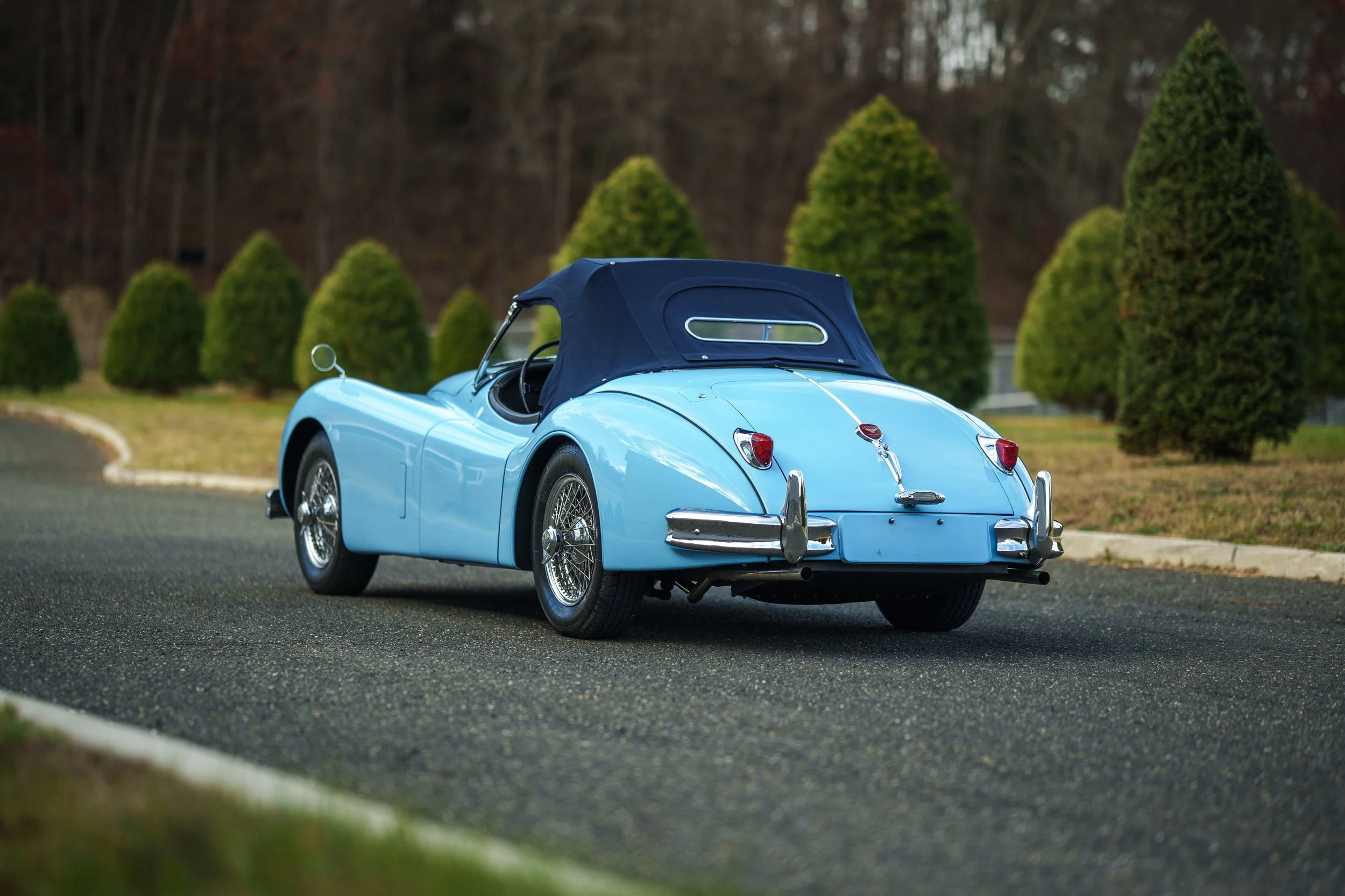 A vintage light blue convertible sports car with a black soft top is parked on an asphalt road with a curb. There are neatly trimmed evergreen bushes and overgrown trees in the background.