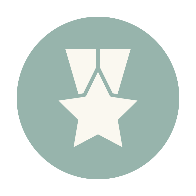 A graphic of a medal with a star in the center, attached to a ribbon, on a circular background.