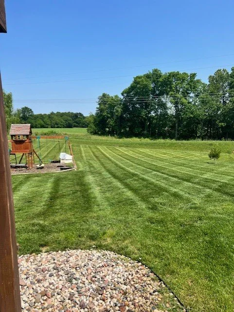 Lawn with freshly mowed grass, a children's playset, and trees in the background under a clear blue sky.