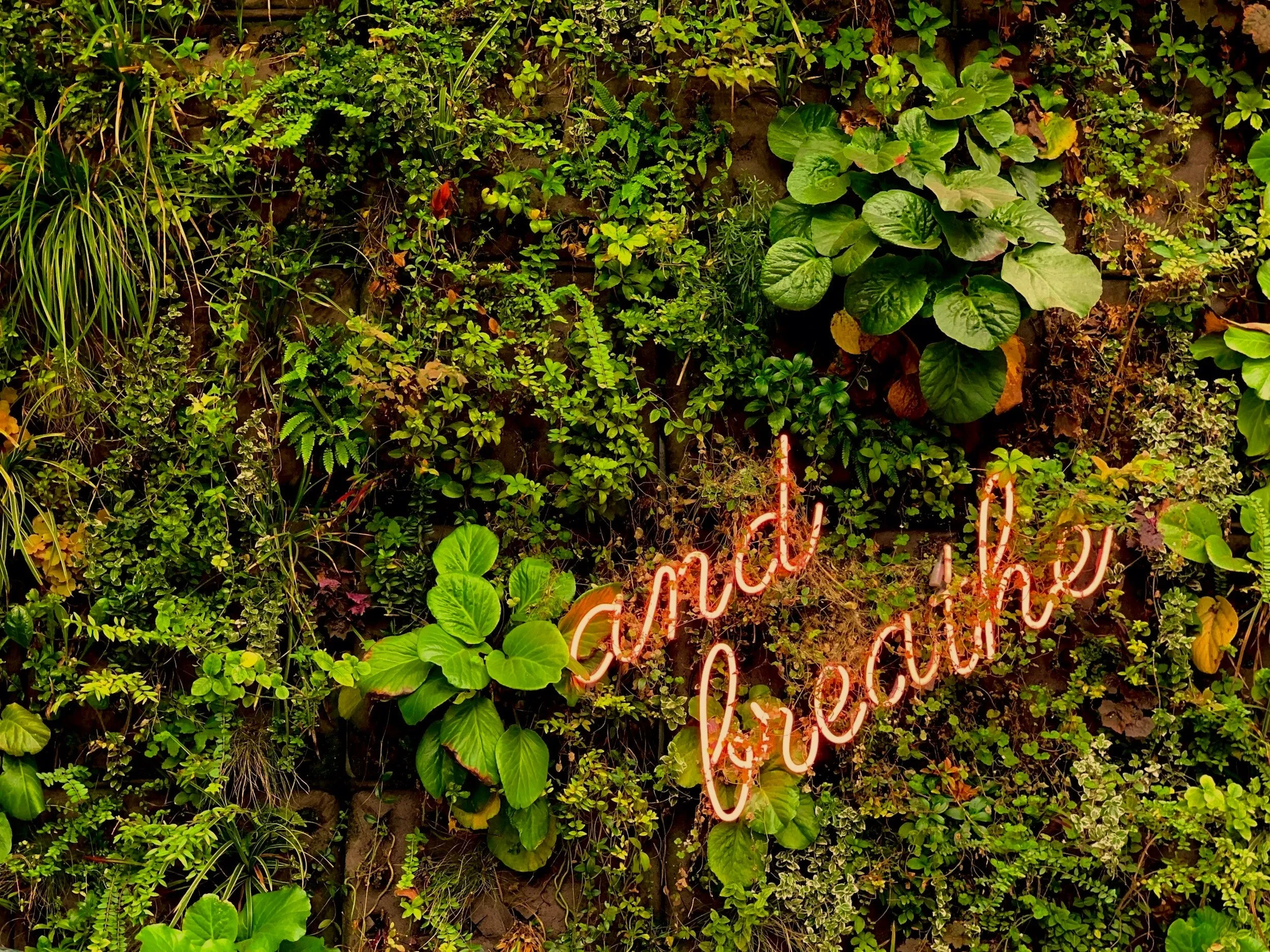 A wall covered in green plants with a neon sign saying "and breathe" in pink.