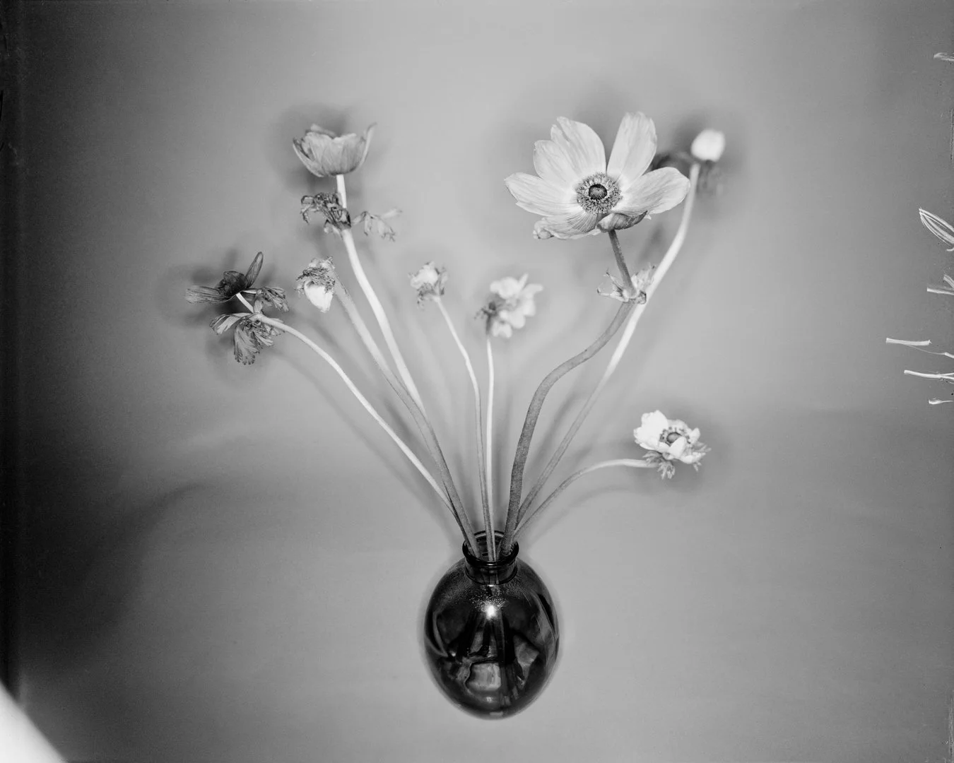 Untitled (3 of 3).jpg