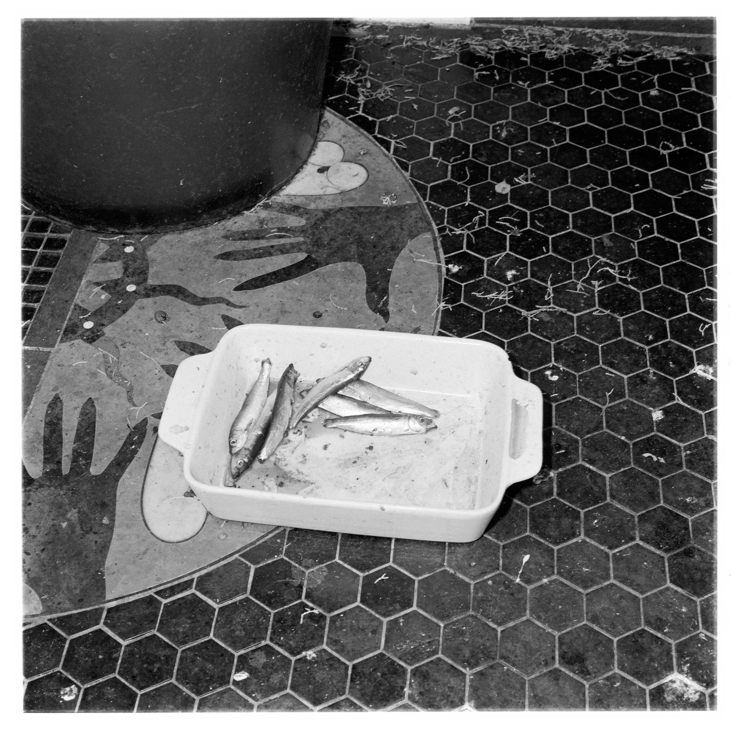 BW_6X6_5.jpg