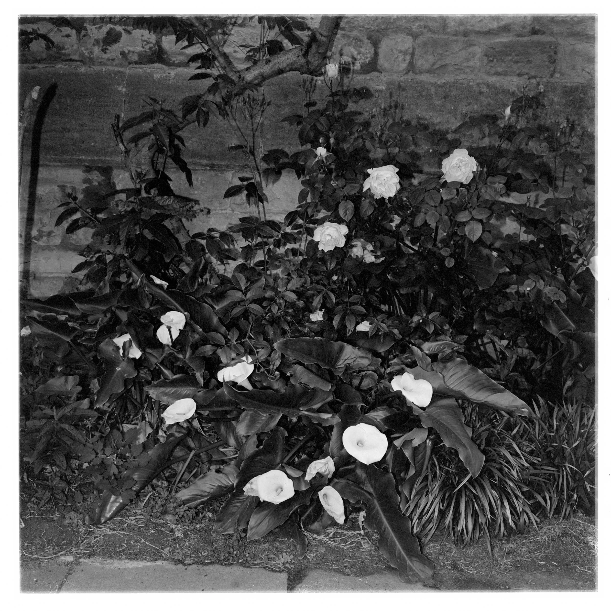 BW_6X6_12.jpg